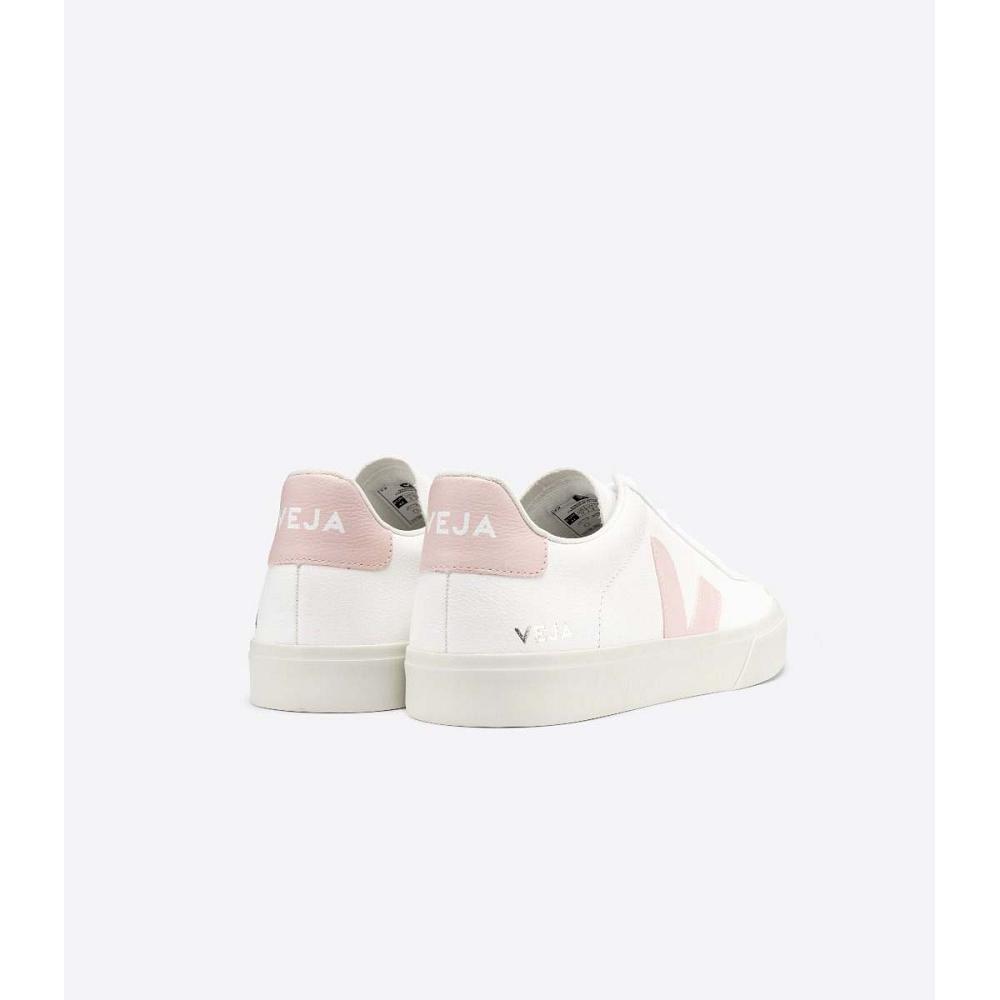 Veja CAMPO CHROMEFREE Low Tops Sneakers Dame White/Pink | NO 463KOR